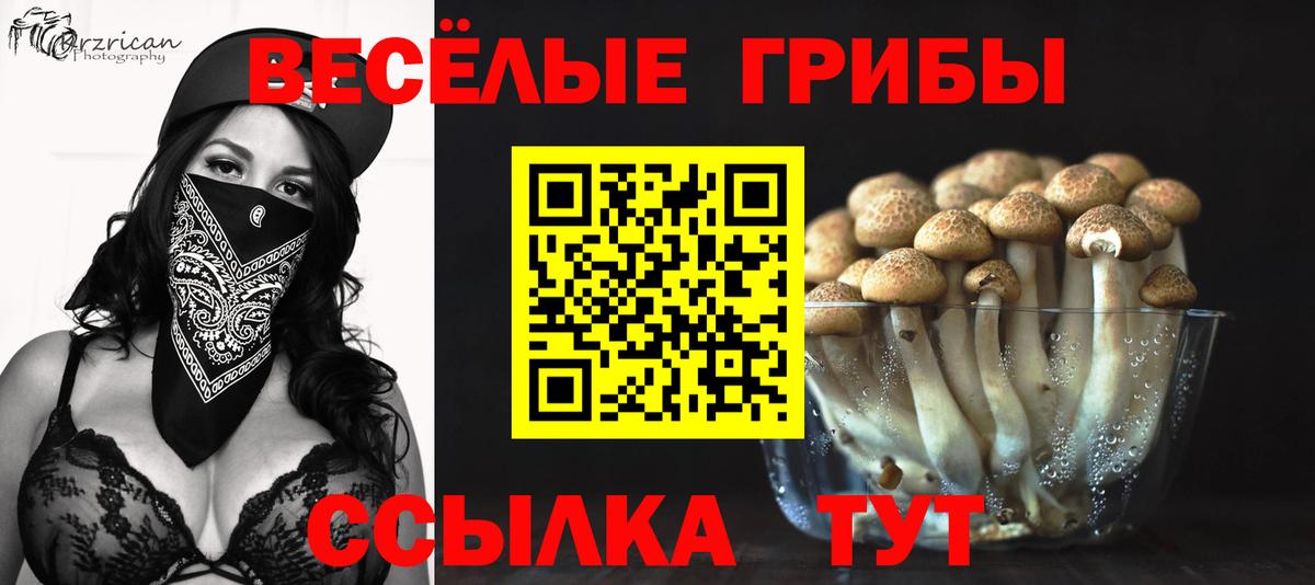 Псилоцибиновые грибы прущие грибы Глазов